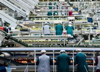 Dinâmica da Força de Trabalho: Tendências de Emprego e Inflação