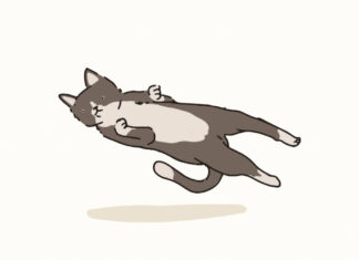 Dead Cat Bounce in Trading Bitcoin: How to Spot It A dead cat bounce refers to a temporary recovery in the price of an asset after a significant decline, followed by a continuation of the downtrend.