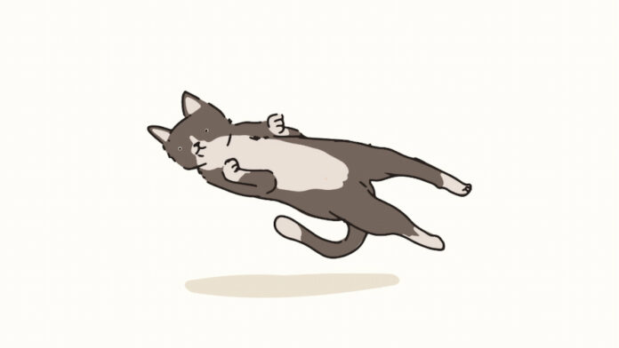 A dead cat bounce refers to a temporary recovery in the price of an asset after a significant decline, followed by a continuation of the downtrend.