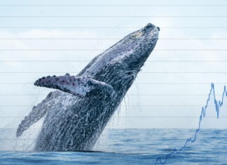 Understanding Crypto Whales: The Giants of the Market The presence of whales makes crypto markets unique compared to traditional stock markets. They often operate strategically, using their large holdings to execute trades that smaller investors cannot.
